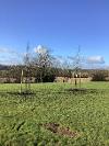 Ribble Crescent