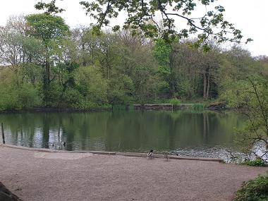 Sherdley Park Dam