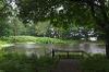 Sidings Lane Pond