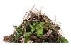 Garden waste items