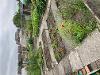 Allotment