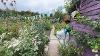 Allotment